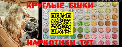 тгк Будённовск