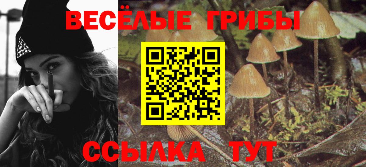 Псилоцибиновые грибы GOLDEN TEACHER Красноперекопск
